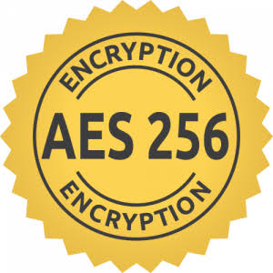 AES-256 encryption badge